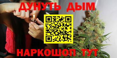 сатива Бузулук