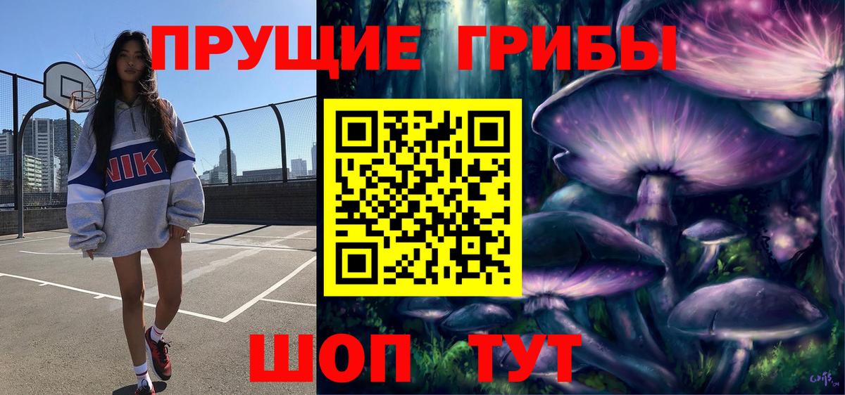 Псилоцибиновые грибы мицелий  Вход с VPN  Мценск 